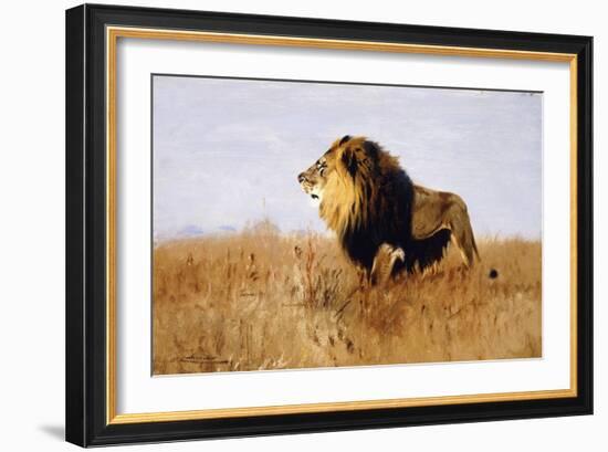 Lion Watching for Prey-Wilhelm Kuhnert-Framed Giclee Print