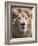 Lion. Western Cape Province, South Africa.-Keren Su-Framed Photographic Print