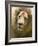 Lion. Western Cape Province, South Africa.-Keren Su-Framed Photographic Print