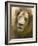 Lion. Western Cape Province, South Africa.-Keren Su-Framed Photographic Print