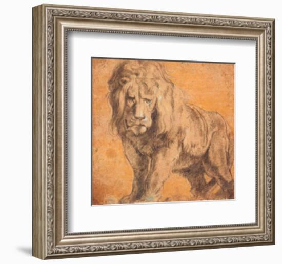 Lion-Peter Paul Rubens-Framed Art Print