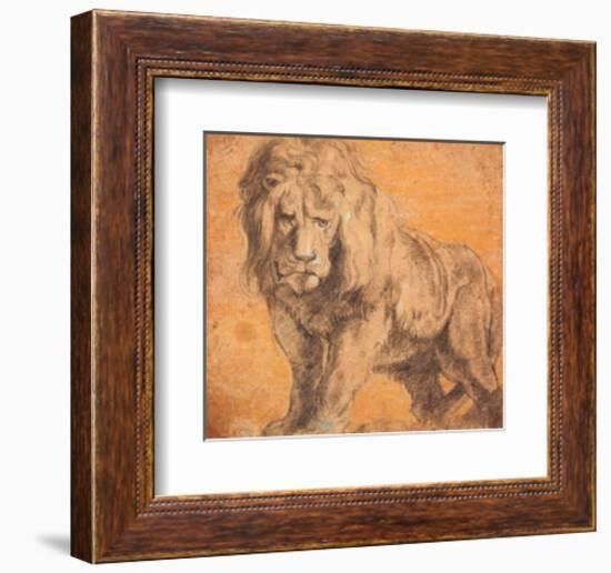 Lion-Peter Paul Rubens-Framed Art Print