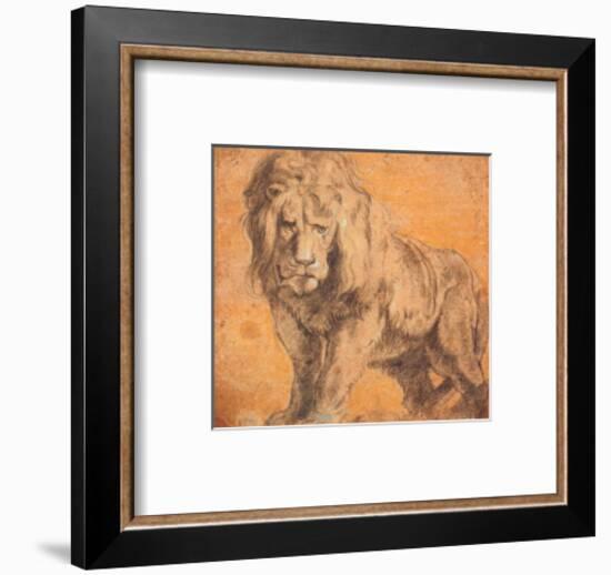 Lion-Peter Paul Rubens-Framed Art Print