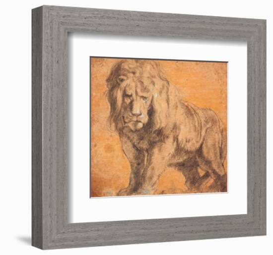 Lion-Peter Paul Rubens-Framed Art Print