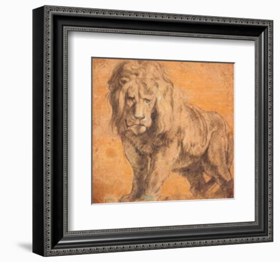 Lion-Peter Paul Rubens-Framed Art Print