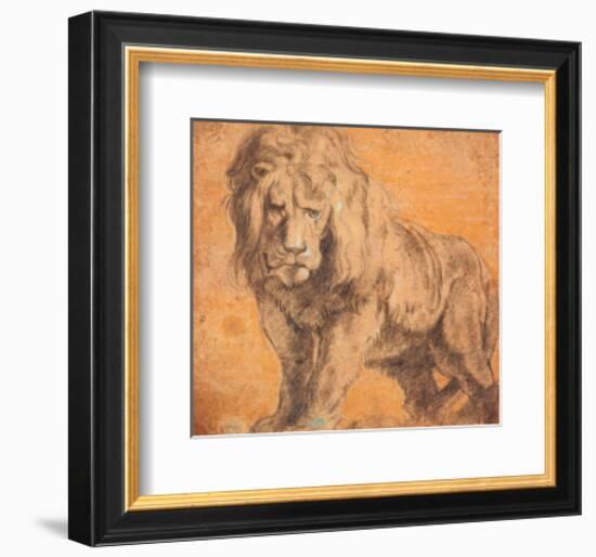 Lion-Peter Paul Rubens-Framed Art Print