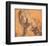 Lion-Peter Paul Rubens-Framed Art Print