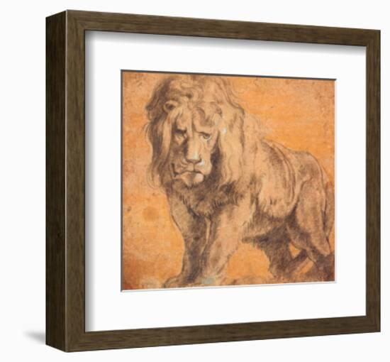 Lion-Peter Paul Rubens-Framed Art Print