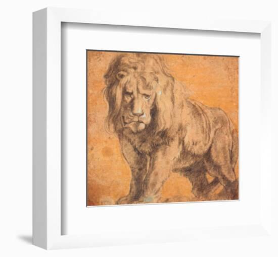 Lion-Peter Paul Rubens-Framed Art Print