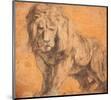 Lion-Peter Paul Rubens-Mounted Art Print