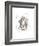 Lion-Philippe Debongnie-Framed Art Print