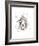 Lion-Philippe Debongnie-Framed Art Print