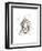 Lion-Philippe Debongnie-Framed Art Print