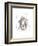 Lion-Philippe Debongnie-Framed Art Print