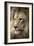 Lion-Linda Wright-Framed Photographic Print