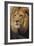 Lion-DLILLC-Framed Photographic Print