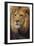 Lion-DLILLC-Framed Photographic Print