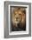 Lion-DLILLC-Framed Photographic Print