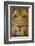 Lion-DLILLC-Framed Photographic Print