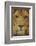 Lion-DLILLC-Framed Photographic Print