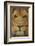 Lion-DLILLC-Framed Photographic Print