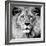 Lion-null-Framed Photographic Print