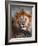 Lion-Eric Meyer-Framed Photographic Print