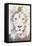 Lion-Paula Belle Flores-Framed Stretched Canvas