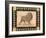 Lion-Pamela Gladding-Framed Art Print