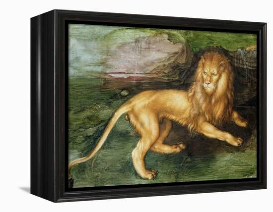 Lion-Albrecht Dürer-Framed Premier Image Canvas