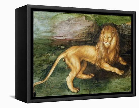 Lion-Albrecht Dürer-Framed Premier Image Canvas