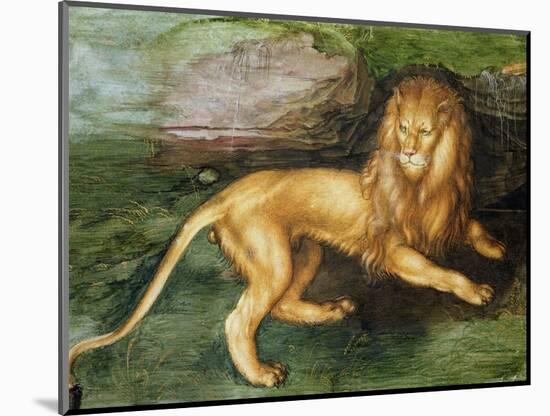 Lion-Albrecht Dürer-Mounted Premium Giclee Print