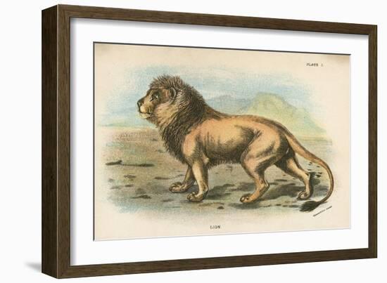 Lion-English School-Framed Giclee Print