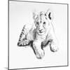 Lion-Vivien Rhyan-Mounted Art Print