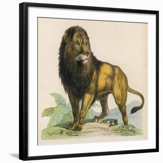 Art Print, , large
