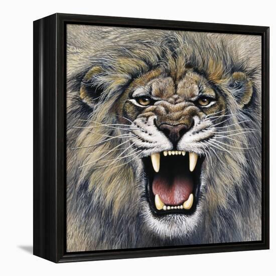 Lion-Harro Maass-Framed Premier Image Canvas