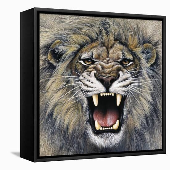 Lion-Harro Maass-Framed Premier Image Canvas