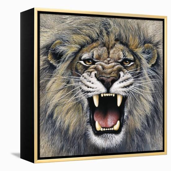 Lion-Harro Maass-Framed Premier Image Canvas