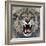 Lion-Harro Maass-Framed Giclee Print