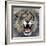 Lion-Harro Maass-Framed Giclee Print