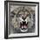 Lion-Harro Maass-Framed Giclee Print