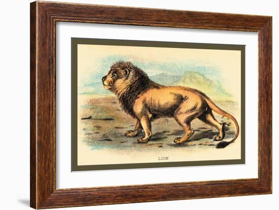 Lion-Sir William Jardine-Framed Art Print
