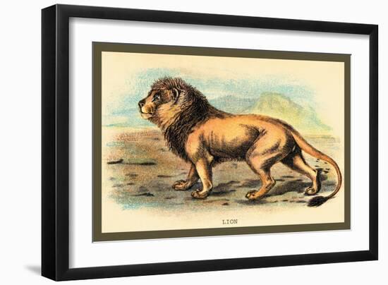 Lion-Sir William Jardine-Framed Art Print