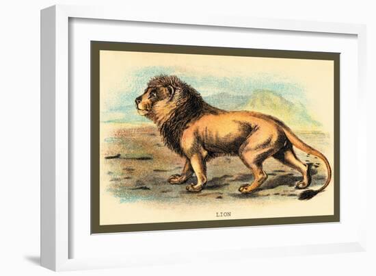 Lion-Sir William Jardine-Framed Art Print