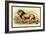 Lion-Sir William Jardine-Framed Art Print