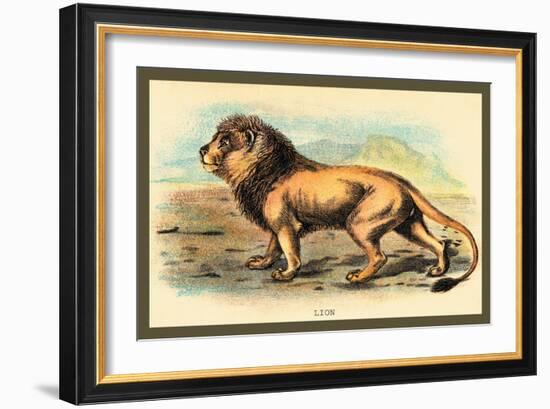 Lion-Sir William Jardine-Framed Art Print