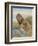 Lion-Ron Jenkins-Framed Art Print