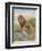 Lion-Ron Jenkins-Framed Art Print