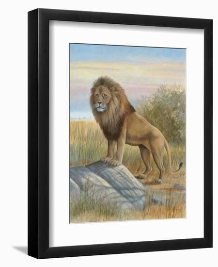 Lion-Ron Jenkins-Framed Art Print