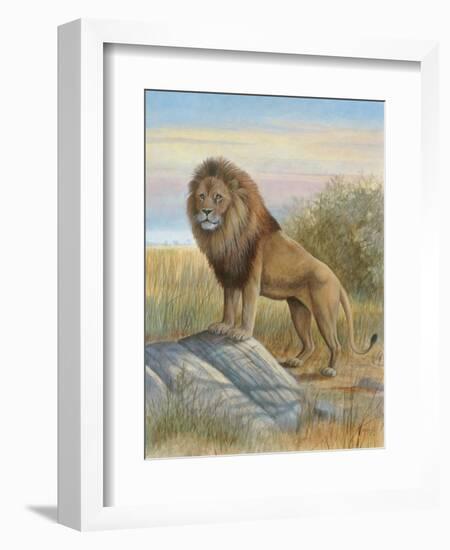 Lion-Ron Jenkins-Framed Art Print